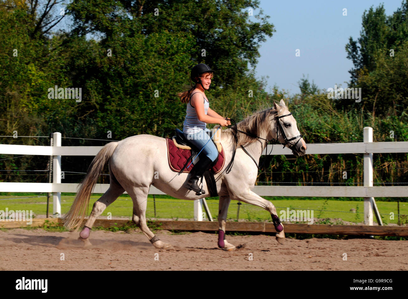 Ragazza sul tedesco Pony cavallo / equitazione casco, maneggio Foto Stock