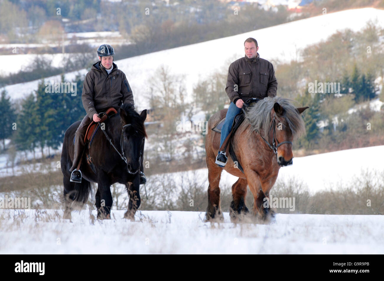Il sentiero di equitazione, uomini a cavallo Progetto di cavalli / rider, progetto di cavallo Foto Stock