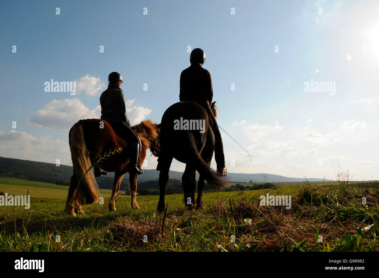 Le ragazze di equitazione cavalli islandesi Foto Stock
