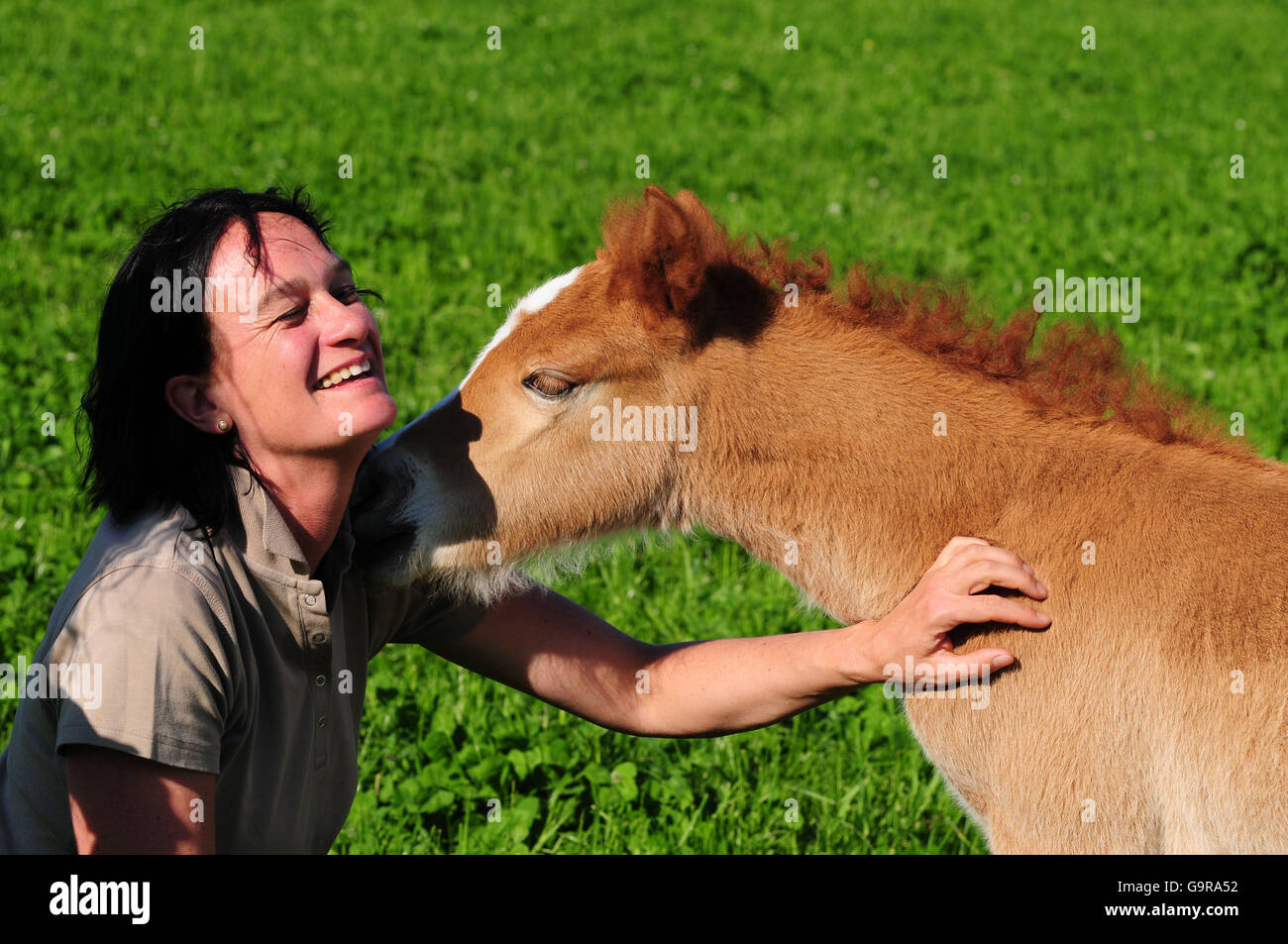 Donna con cavallo islandese, puledro Foto Stock