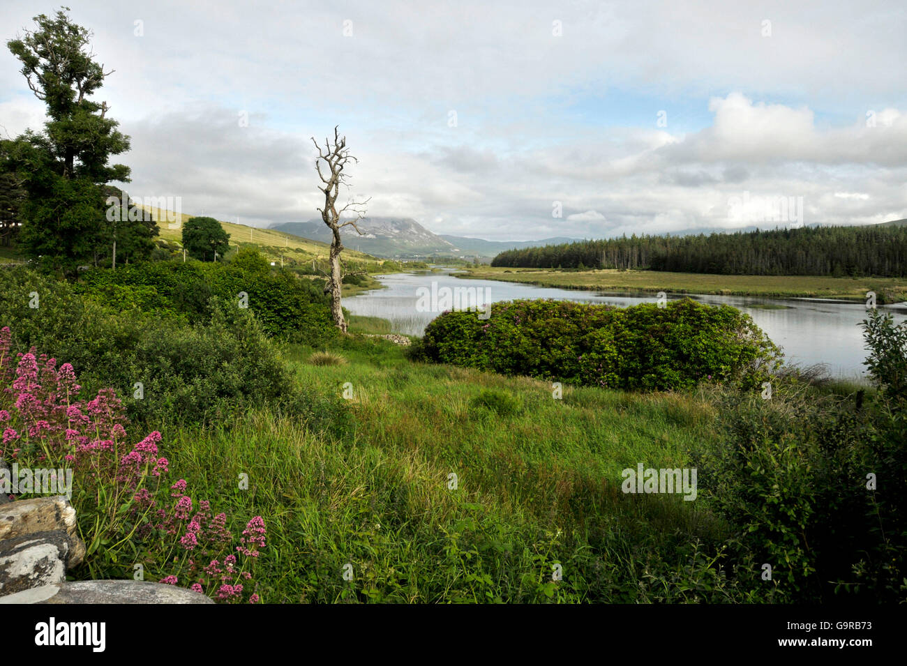 Vista di Mount Errigal da Gweedore, County Donegal, Irlanda / Clady River Foto Stock