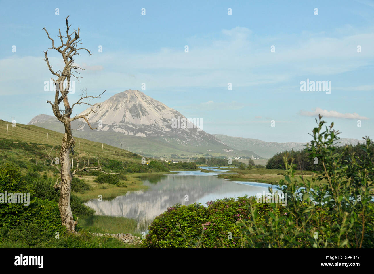 Vista di Mount Errigal da Gweedore, County Donegal, Irlanda / Clady River Foto Stock