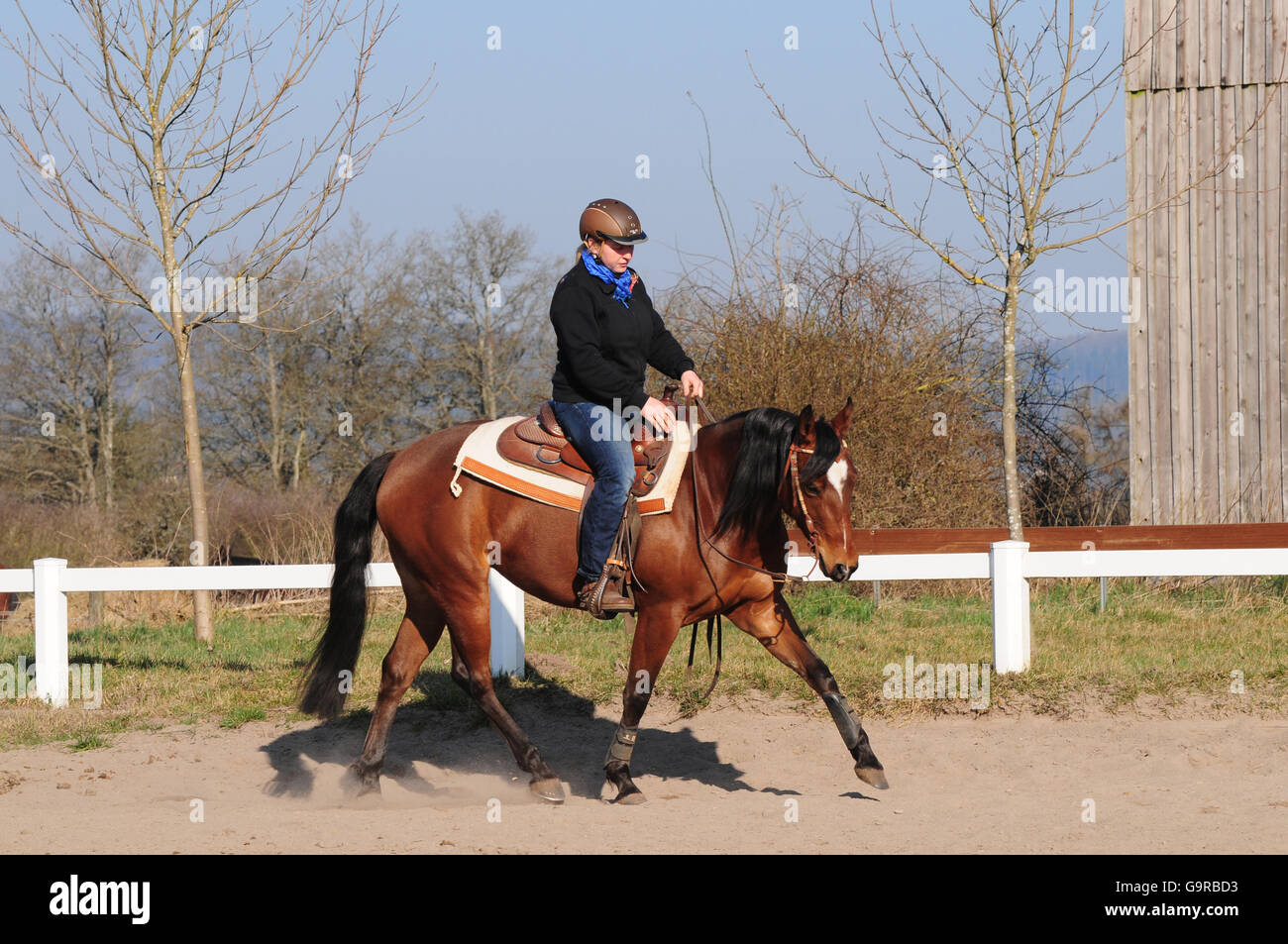 Equitazione western, American Quarter Horse, mare, allenamento, western tack, casco Foto Stock