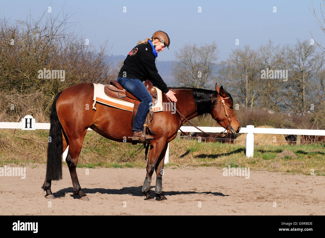 Equitazione western, American Quarter Horse, mare, allenamento, western tack, casco Foto Stock