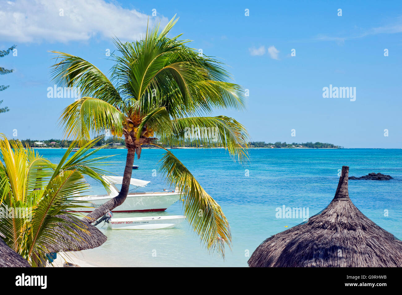Barca e palmtree, Pereybere, Mauritius, Africa, Oceano Indiano / Pereybere Foto Stock