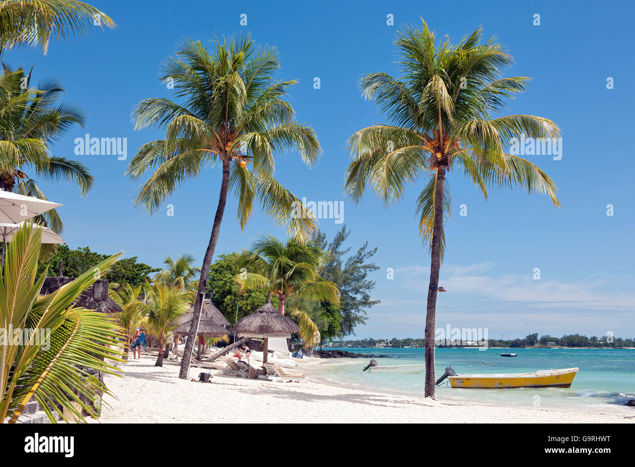 Spiaggia scena con palmtree e barca, Pereybere, Mauritius, Africa, Oceano Indiano / Pereybere Foto Stock