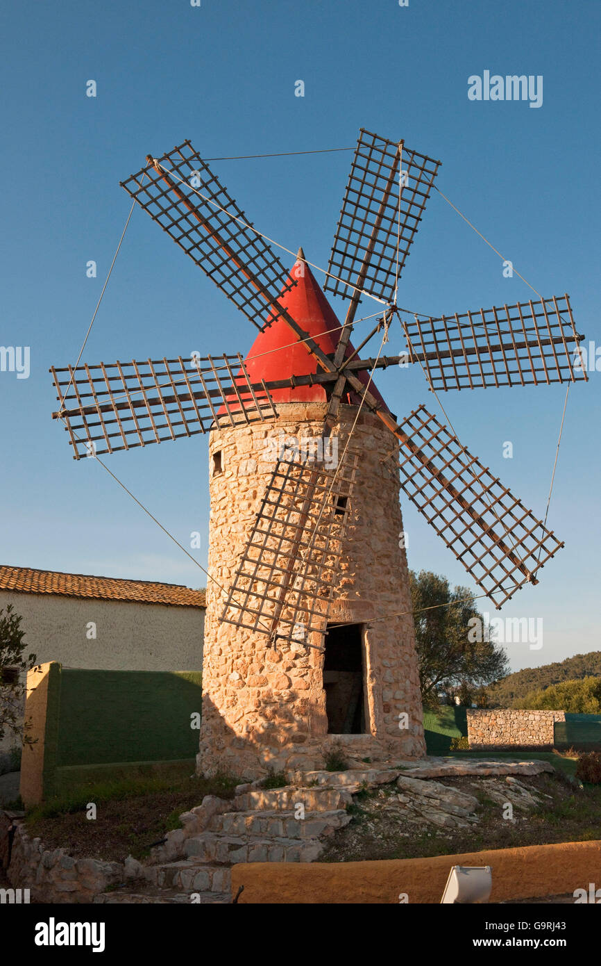 Mulino a vento tradizionale, Mallorca, balear islands, Spagna, Europa Foto Stock