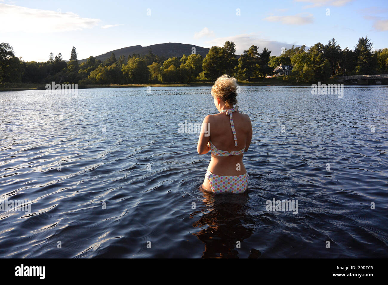 Sunset wild nuotare a Loch Insh la sorgente del fiume Spey Foto Stock