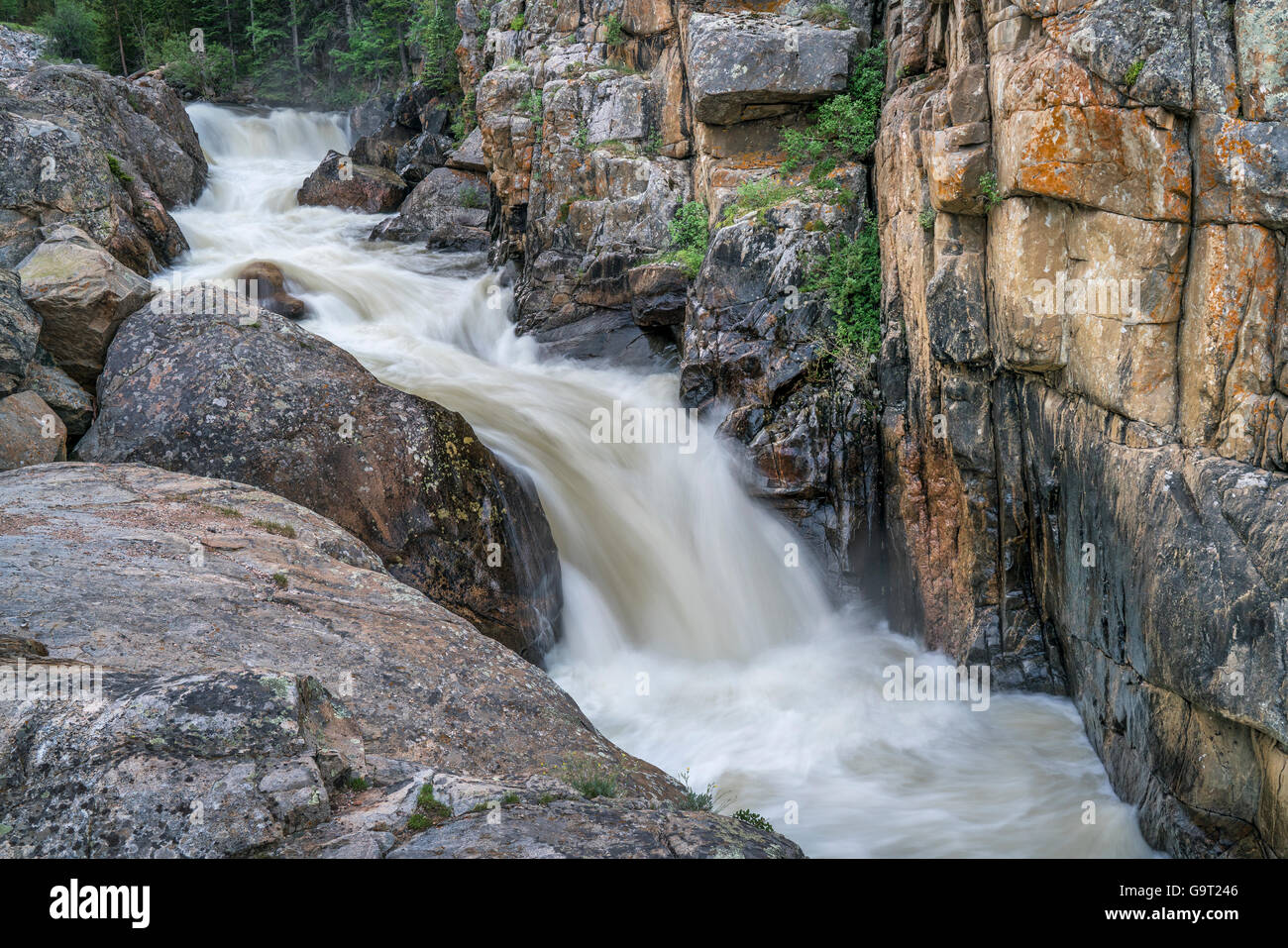 La Cache Poudre River a Poudre cade nel nord del Colorado, , inizio estate scenario con una portata elevata Foto Stock
