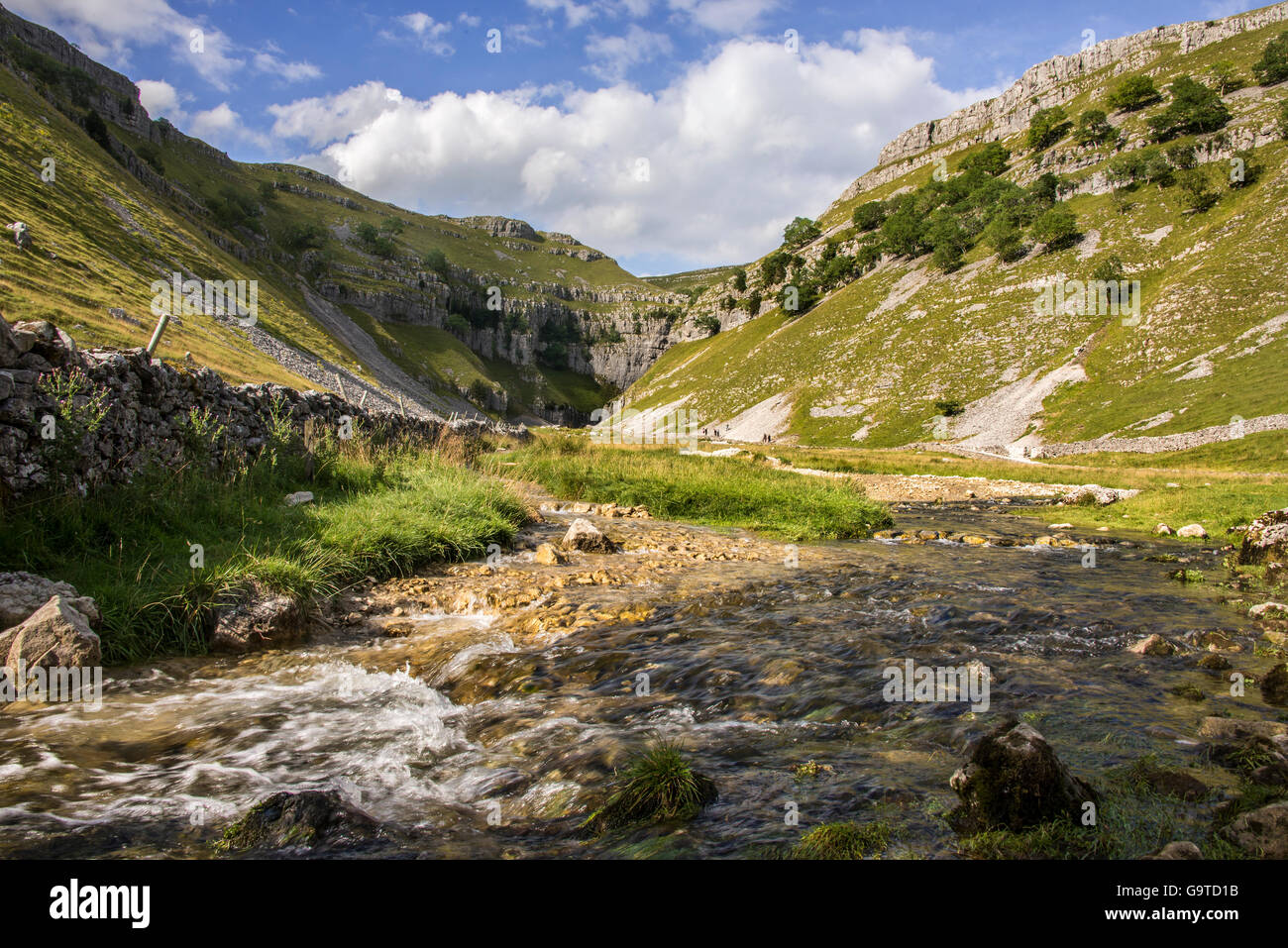 Gordale Scar. North Yorkshire. Il nord ovest dell'Inghilterra. Yorkshire Dales National Park. YDNP. Foto Stock