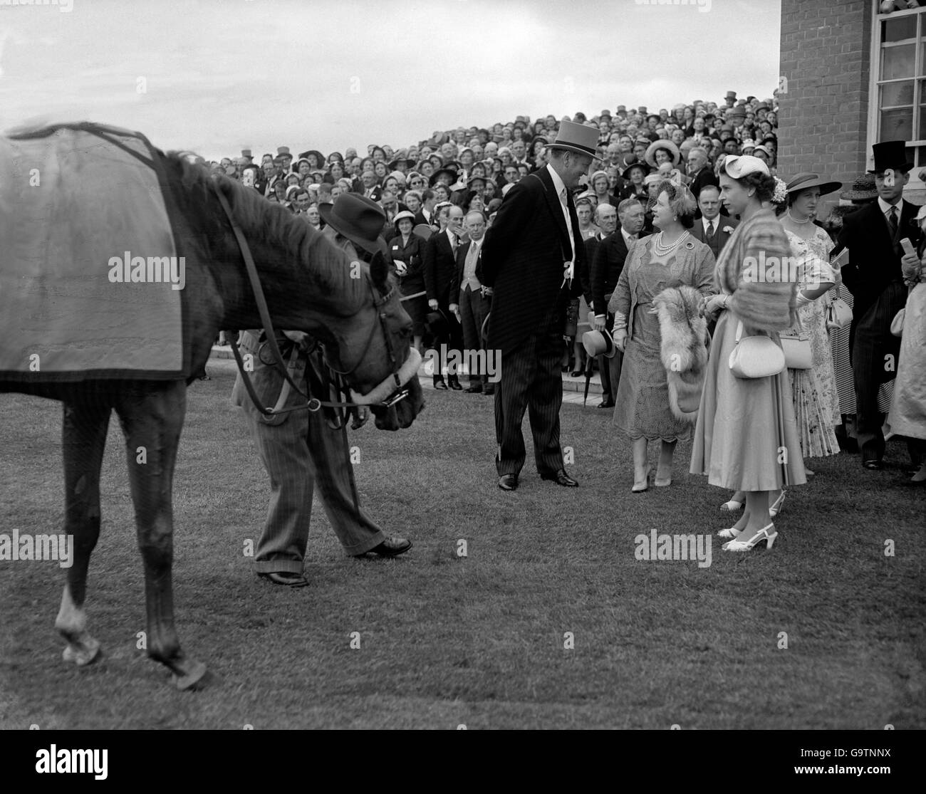 L'allenatore C Boyd-Rochfort parla con sua Maestà la Regina Madre Come il cavallo vincente della regina Aureole guarda Foto Stock