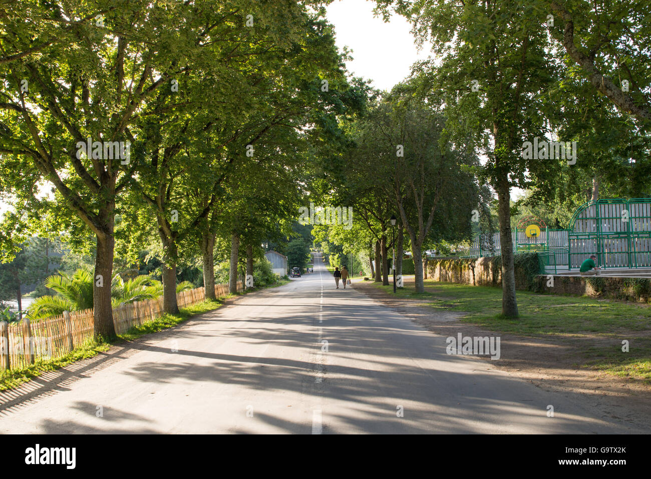 Strada alberata nel Domaine des Ormes campeggio in Bretagna, Francia Foto Stock