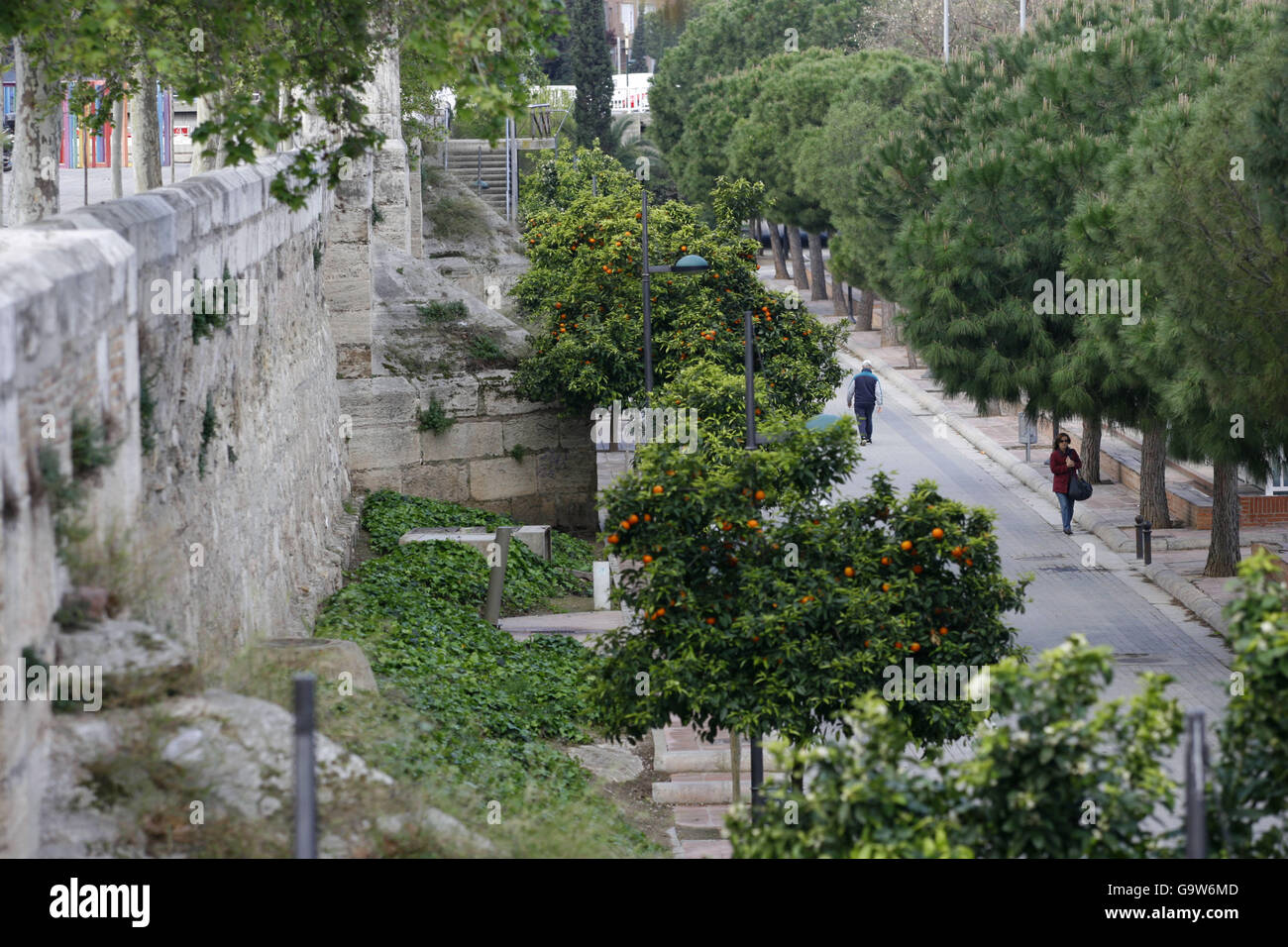 Una vista generale del Jardin del Turia nel centro di Valencia, Spagna. PREMERE ASSOCIAZIONE foto. Data immagine: Giovedì 5 aprile, 2007. I giardini della città erano il fiume Turia fino agli anni '50 quando, dopo lo scoppio delle sue rive, gli anziani della città decisero di reinstradarlo intorno alla periferia. Ora il fiume verde è un'area ricreativa simile al Central Park di New York. Il credito fotografico dovrebbe essere: Chris Ion/PA Wire. Foto Stock