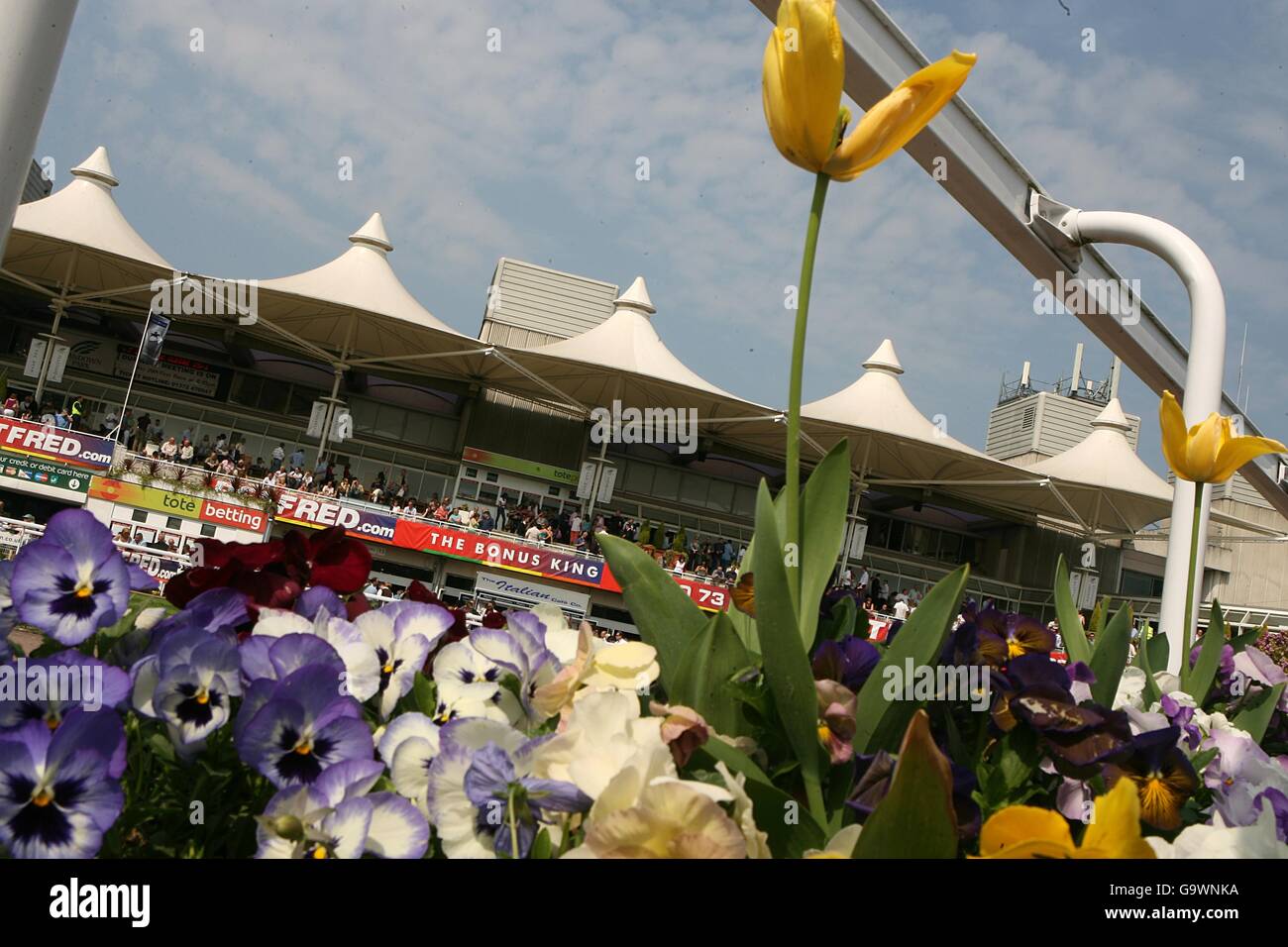 Corse ippiche - Betfred Gold Cup Meeting - Sandown Park. Una vista sul bordo della sfilata anello, di fronte alla tribuna a Sandown Park. Foto Stock