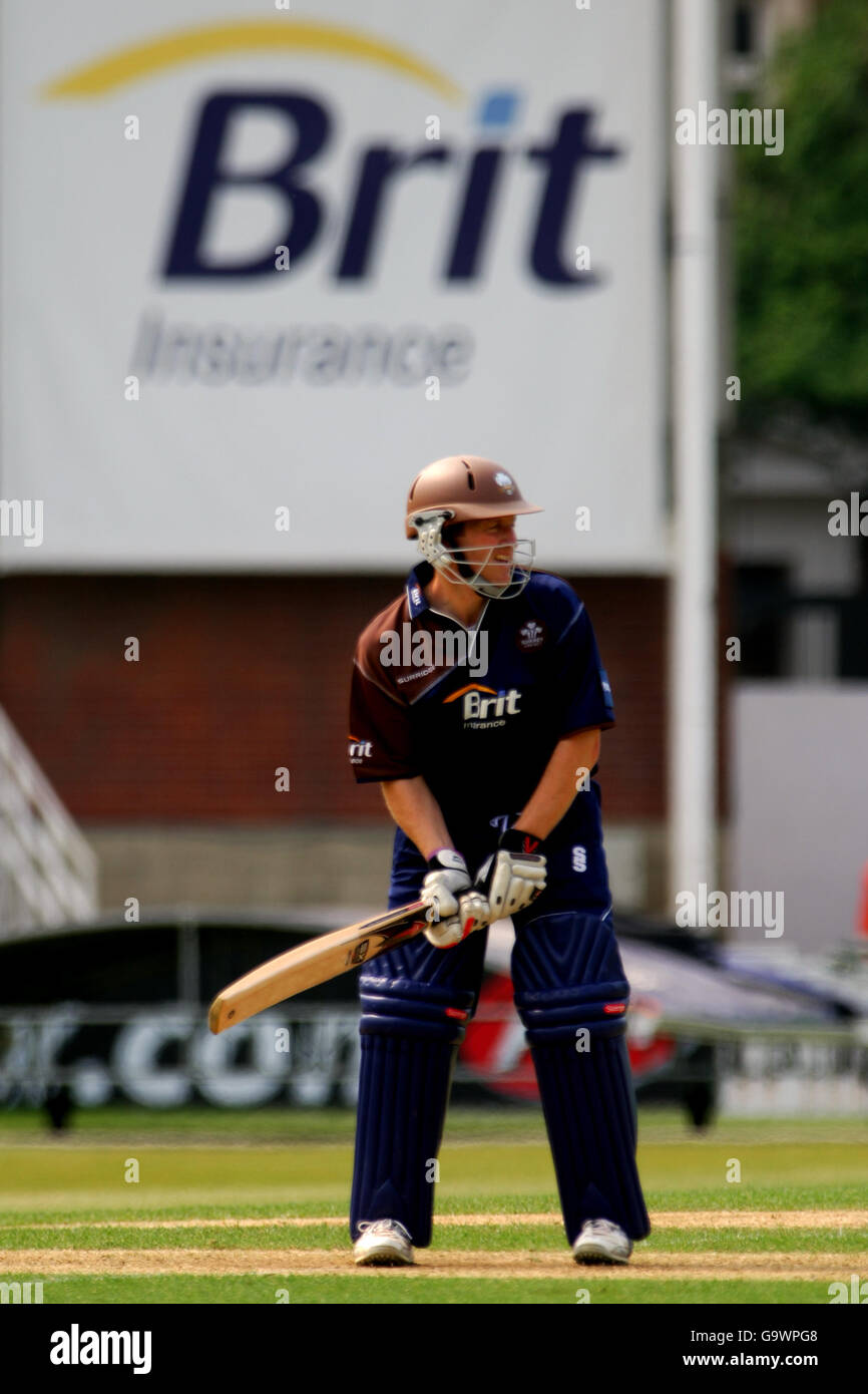 Cricket - Friends Provident Trophy Sud Group - Surrey v Gloucestershire - Brit Oval Foto Stock