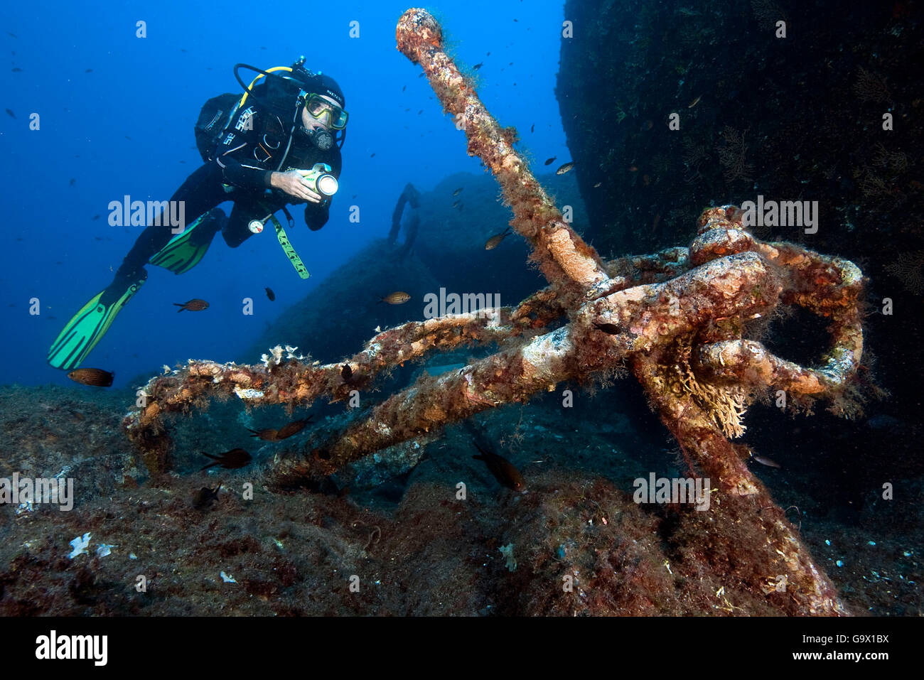 Subacqueo con il vecchio elemento di ancoraggio, dive spot Le Scole, Isola del Giglio, Toscana, Italia, Europa / Giglio Porto Foto Stock