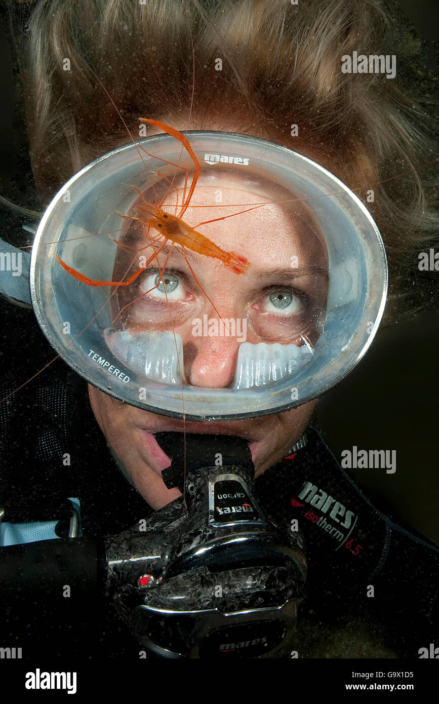Full face diving mask immagini e fotografie stock ad alta risoluzione -  Alamy