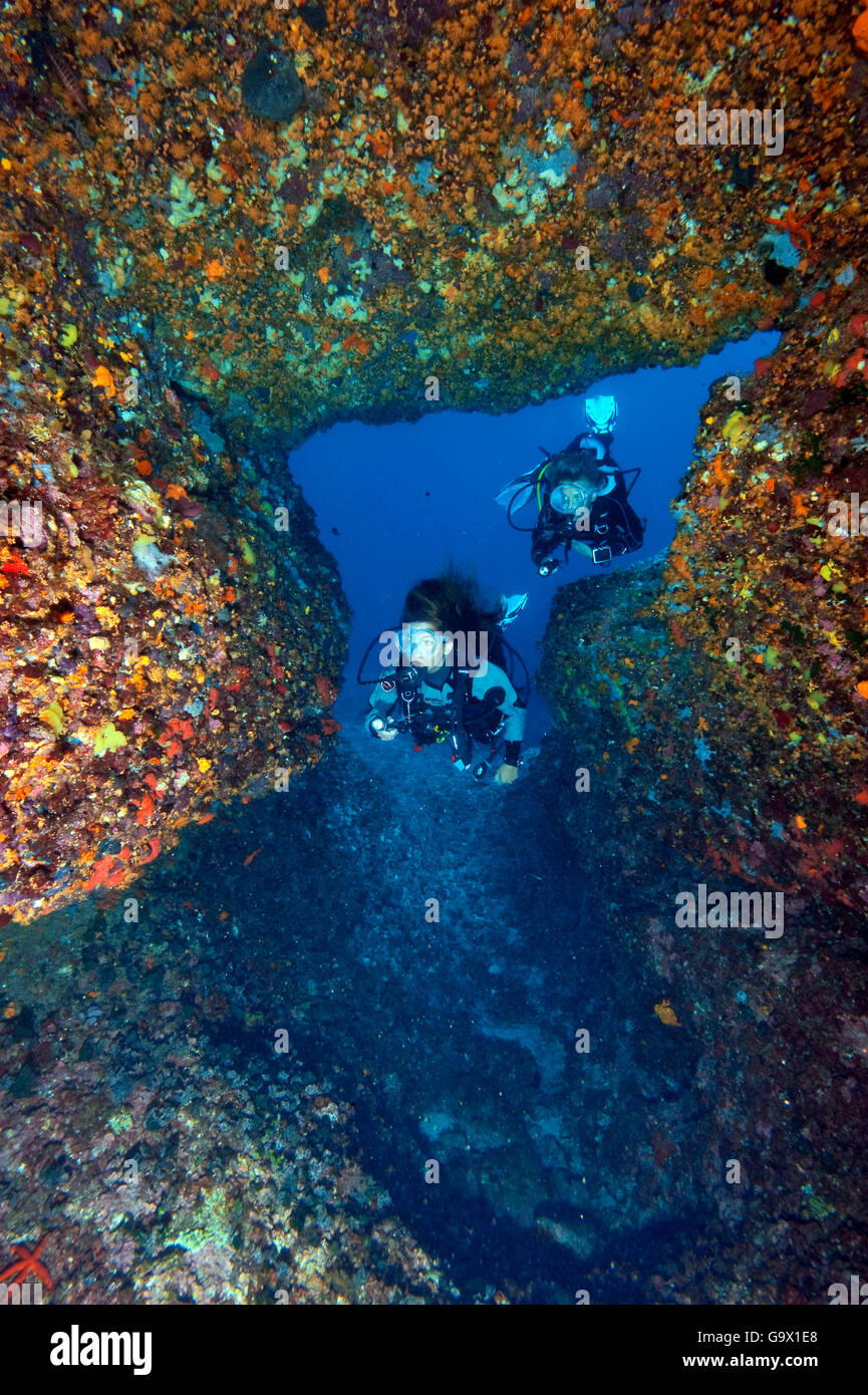 Sommozzatore in grotta stalattiti, grotta di stalattiti, Capo Caccia, Alghero, Sardegna, Italia, Europa, Mediterraneo Foto Stock