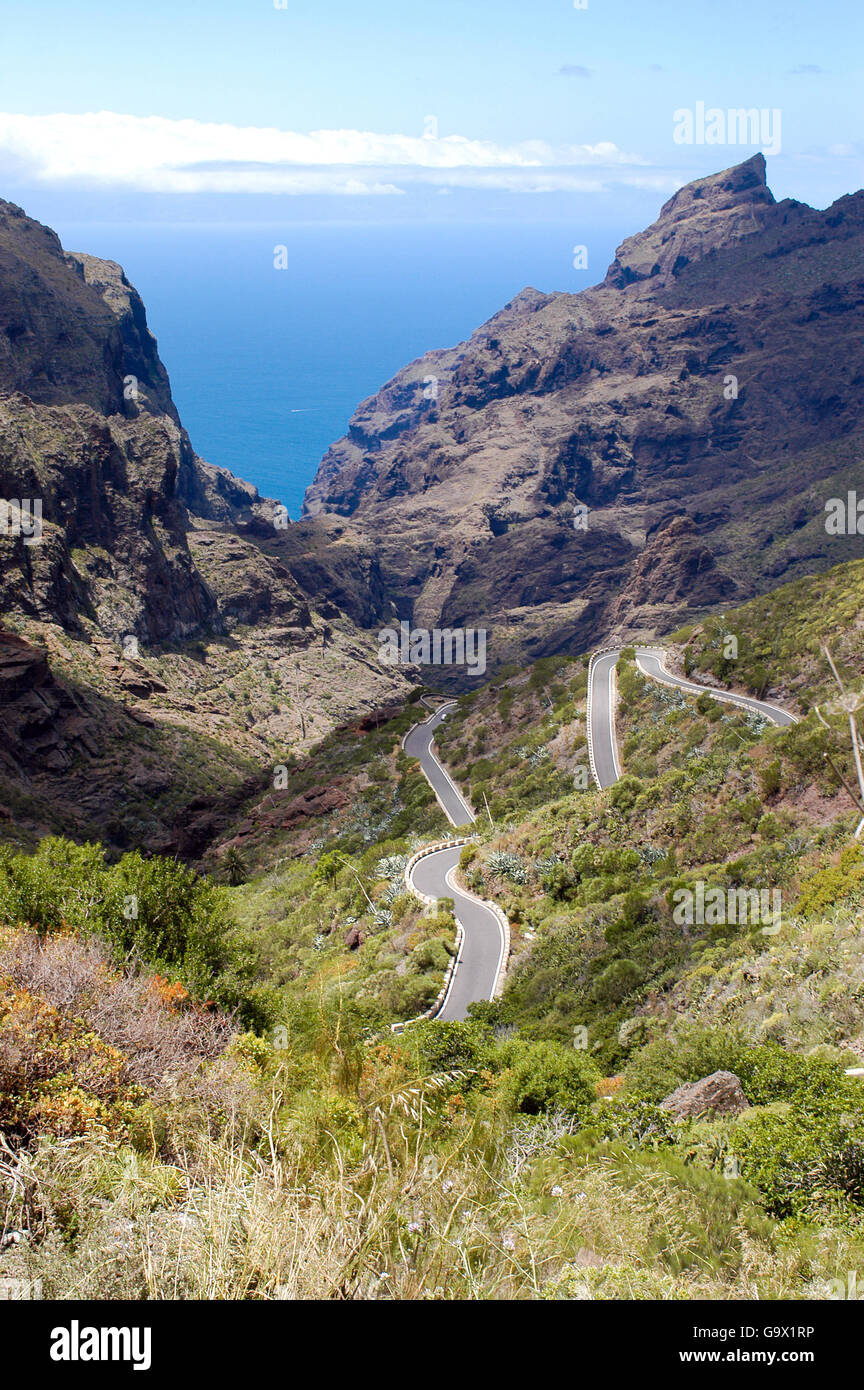 Curve, strada a serpentina in Valle Masca, Tenerife Spagna Isole Canarie, Europa Foto Stock