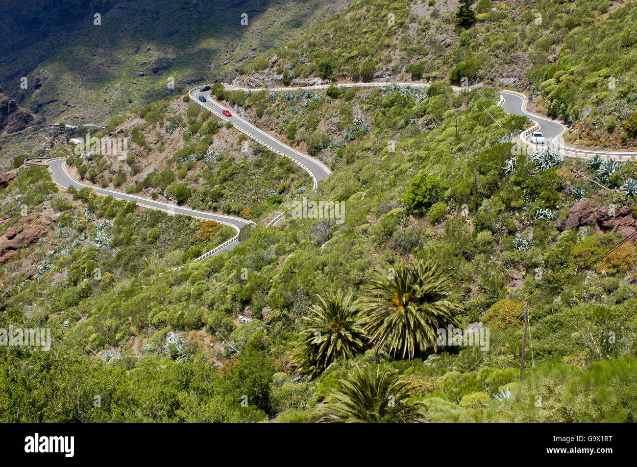 Curve, strada a serpentina in Valle Masca, Teneriffa, Spagna, Europa Foto Stock