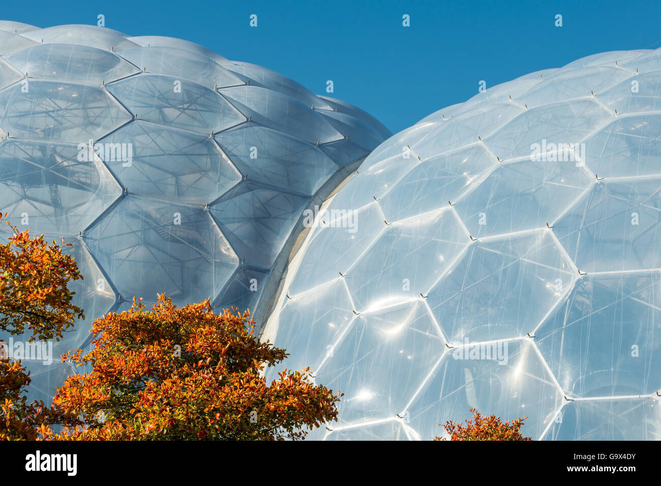 Eden Project in autunno Foto Stock