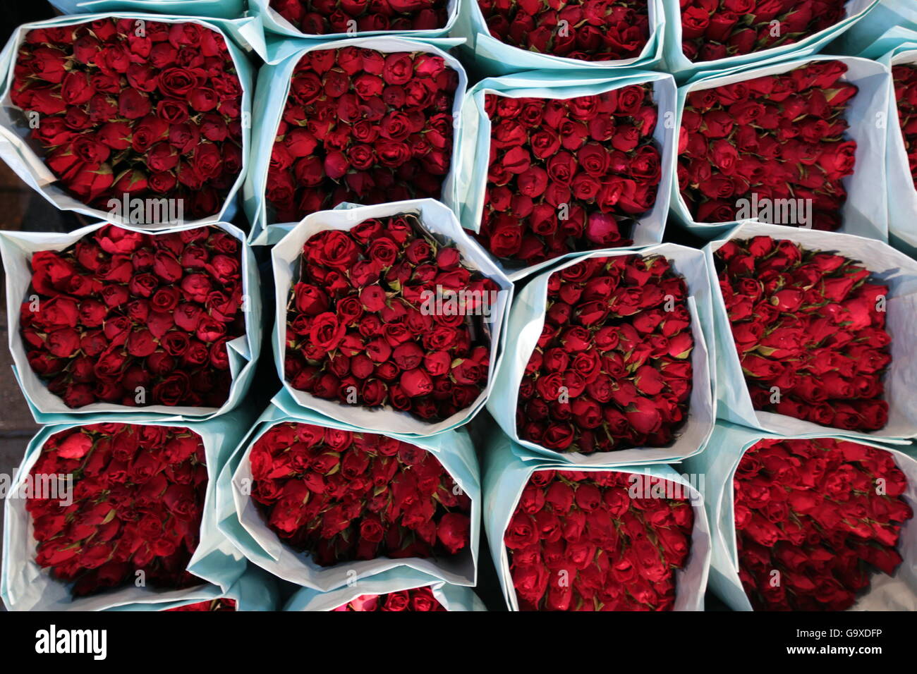 I fiori al mercato dei fiori a Pak Khlong Markt di Banglamphu nella città di Bangkok in Thailandia in Suedostasien. Foto Stock