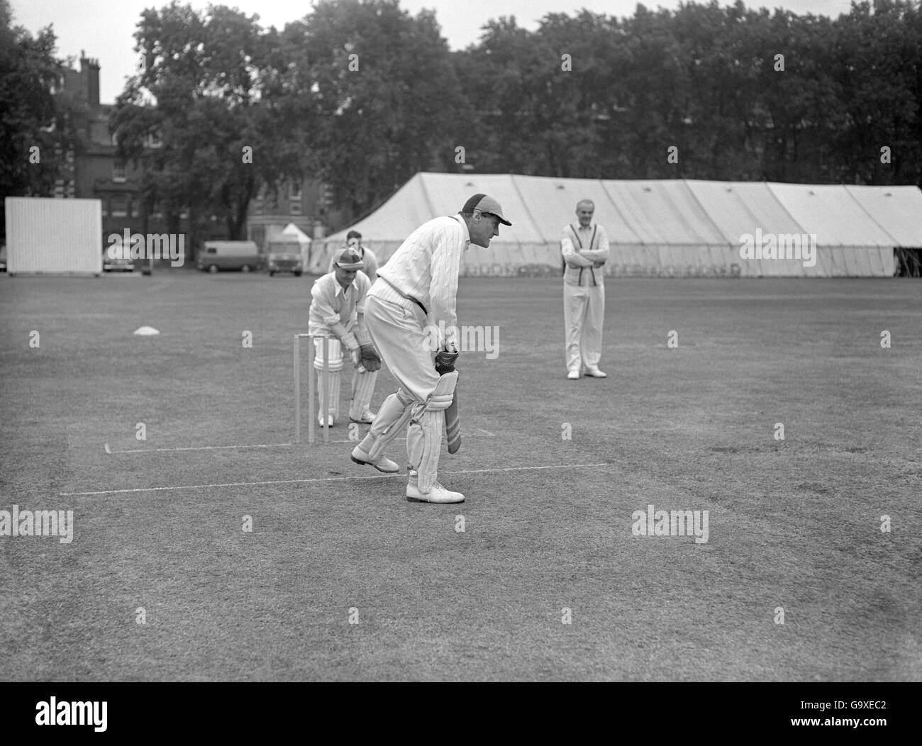Cricket Foto Stock