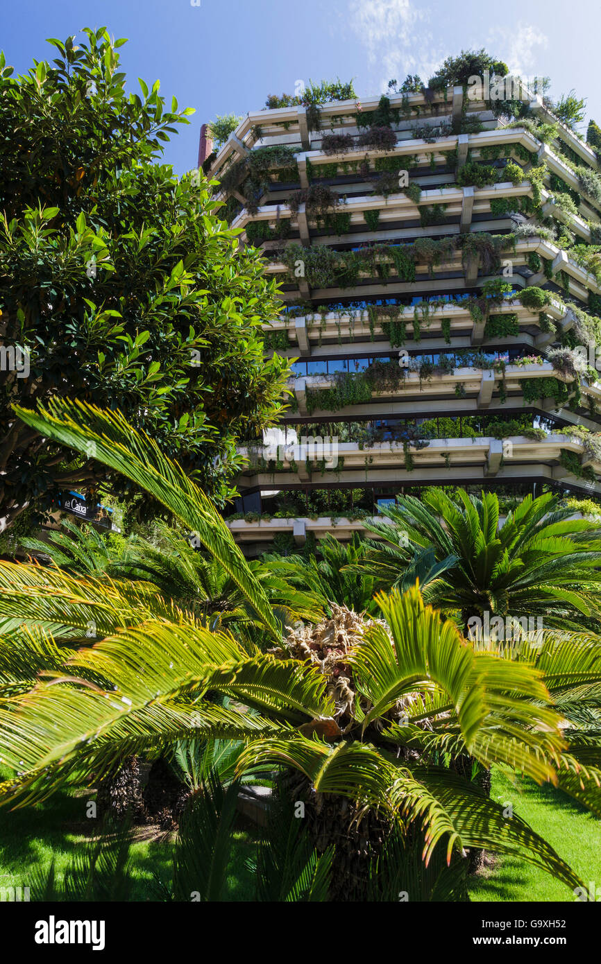 Giardino verticale sulle pareti di un blocco a torre di Barcellona. La Catalogna. Spagna, Giugno 2013. Foto Stock