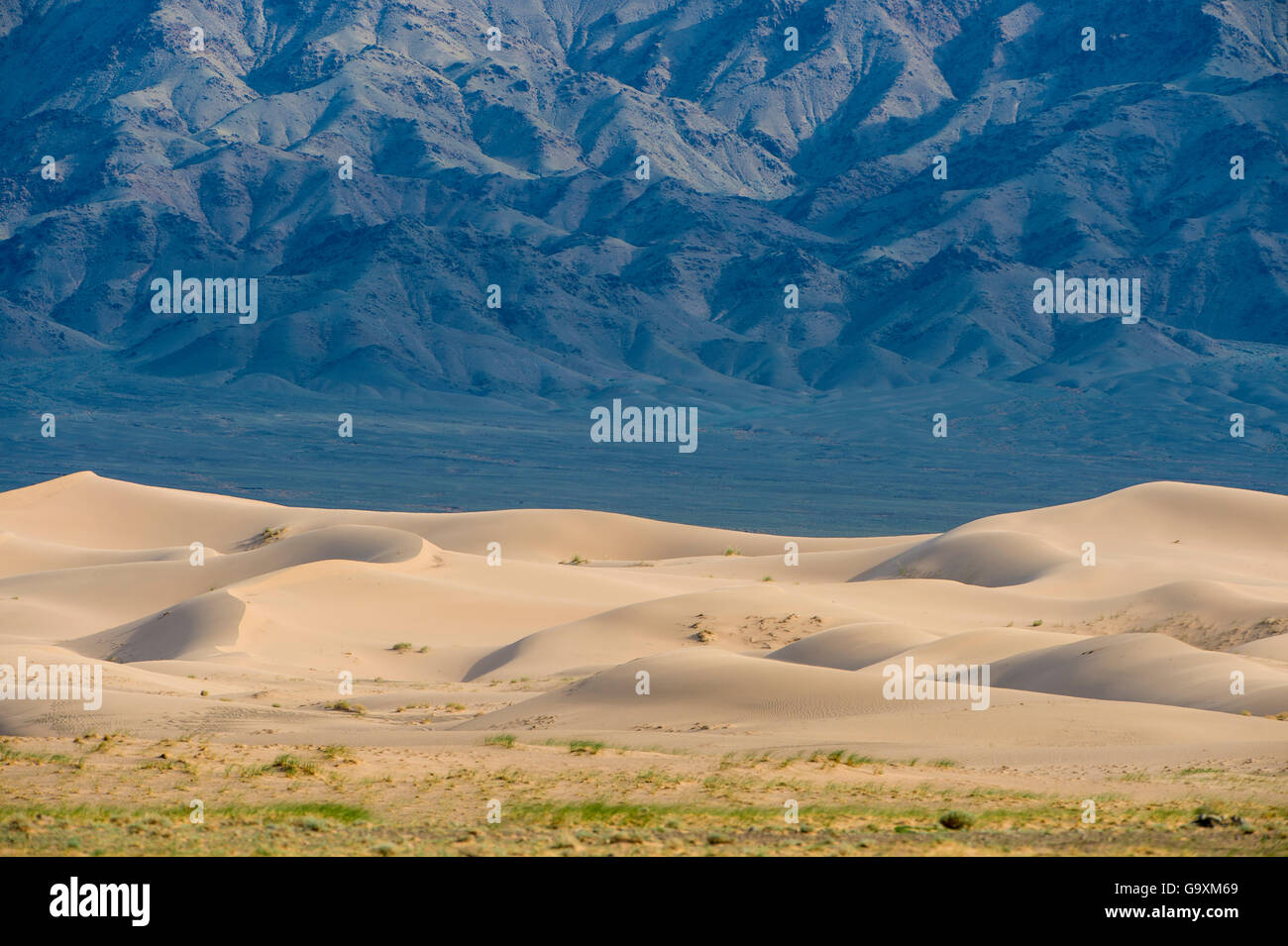 Khongor dune di sabbia, Govi Gurvan Saikhan National Park, deserto dei Gobi, Sud Mongolia. Giugno 2015. Foto Stock