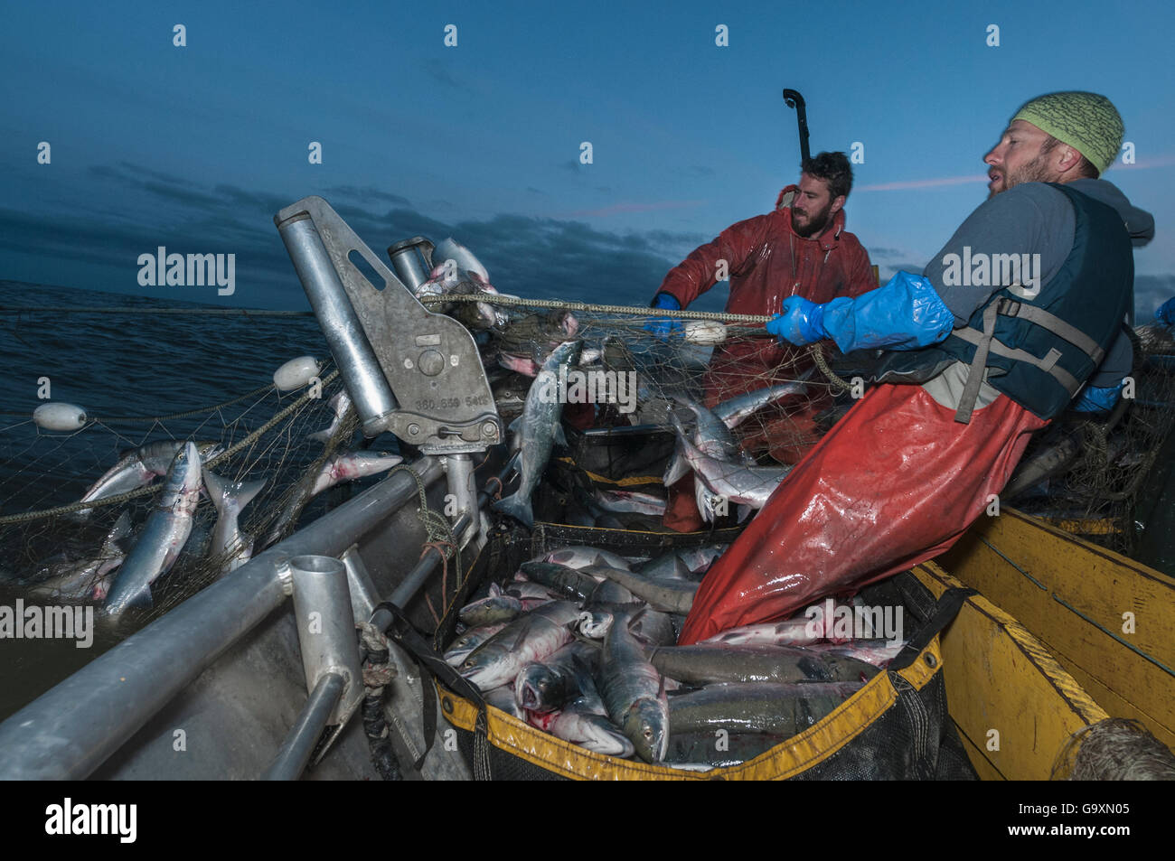 Cala di pescatori nel set di reti da imbrocco mentre la pesca al Salmone Sockeye (Oncorhynchus nerka) di notte, cimitero punto, Bristol Bay, al Foto Stock