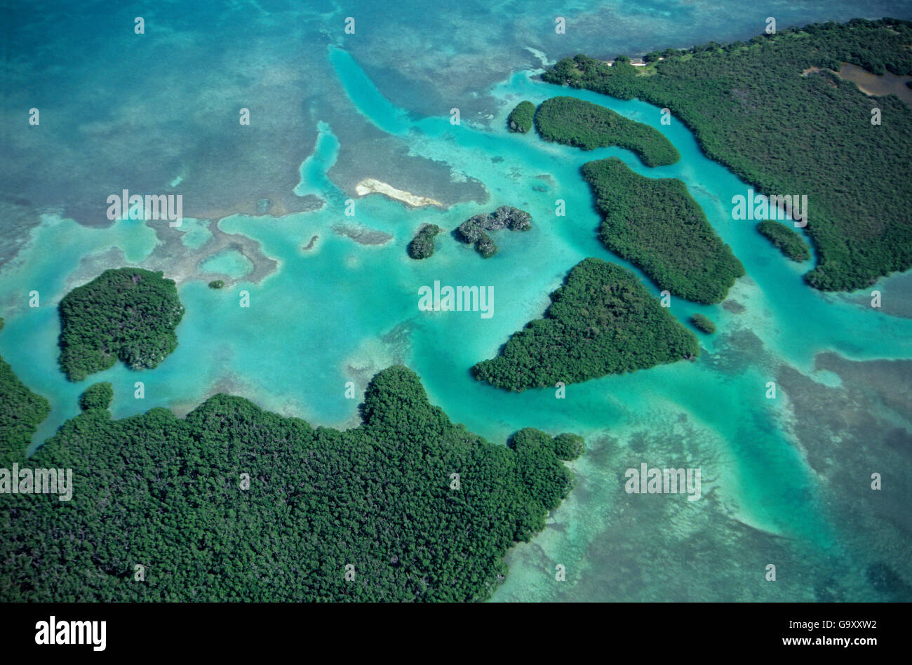 Vista aerea della mangrovia rossa (Rhizophora mangle) laguna costiera, Sian Ka'an Riserva della Biosfera, Mar dei Caraibi, Messico, gennaio Foto Stock