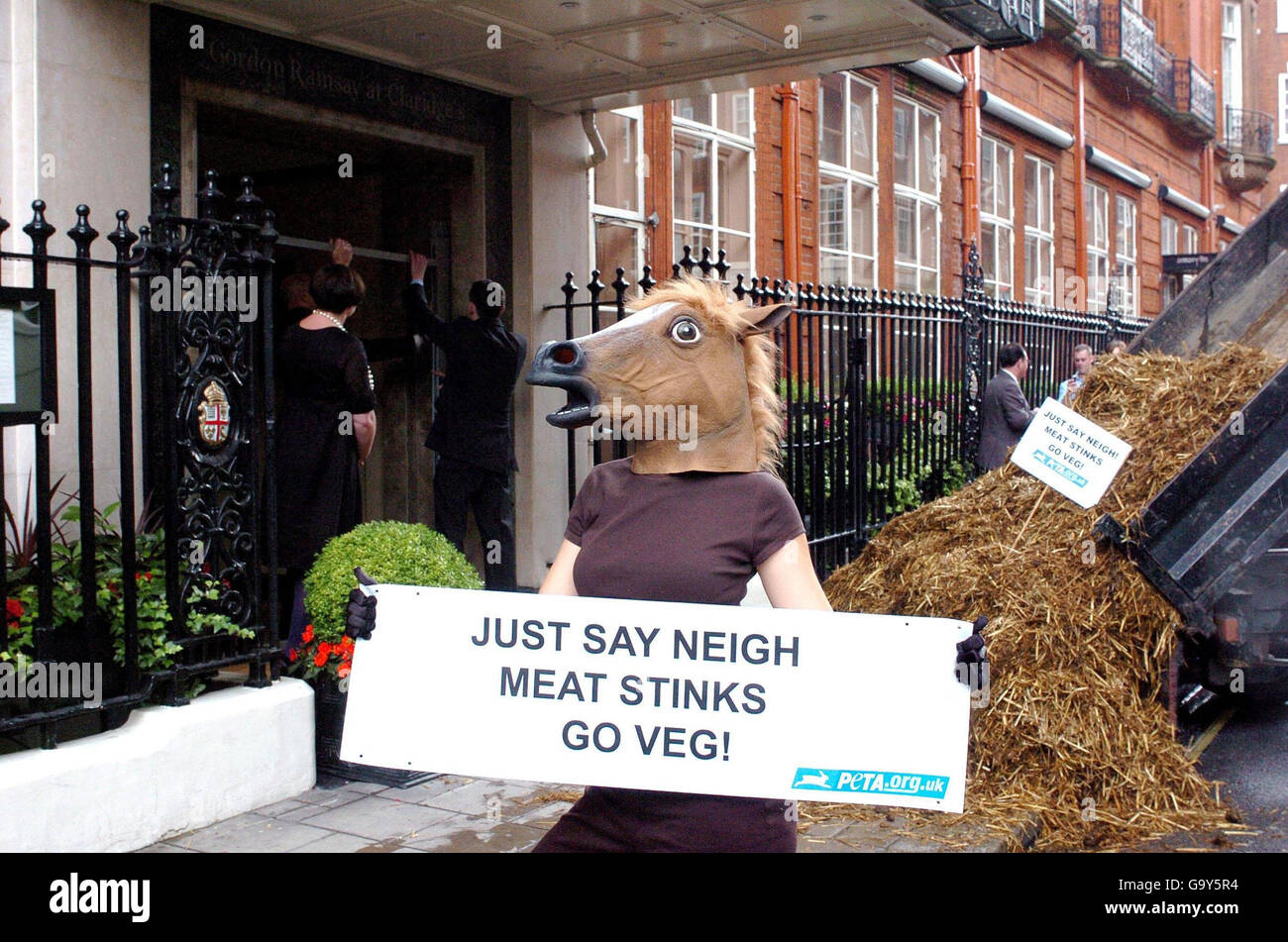 Aus pferdefleisch Immagini e Fotos Stock Alamy