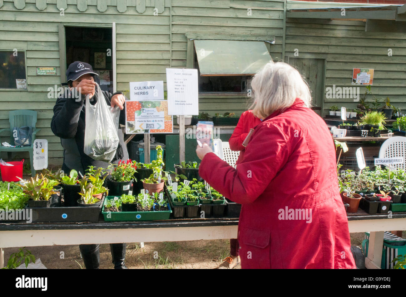 Stadio di volontari un open day in una comunità giardino nella zona suburbana di Melbourne, Australia, approfittando di elezione federale il polling nella attigua sala. Foto Stock