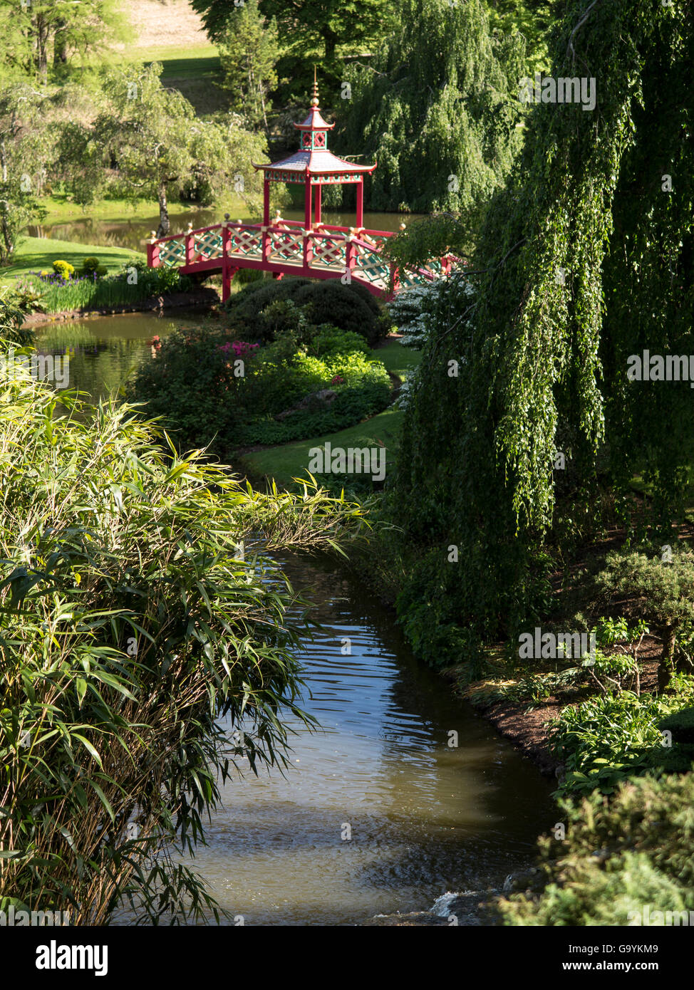 Apremont sur Allier, Berry. Parc Floral Pont-Pagode pont Chinois Foto Stock