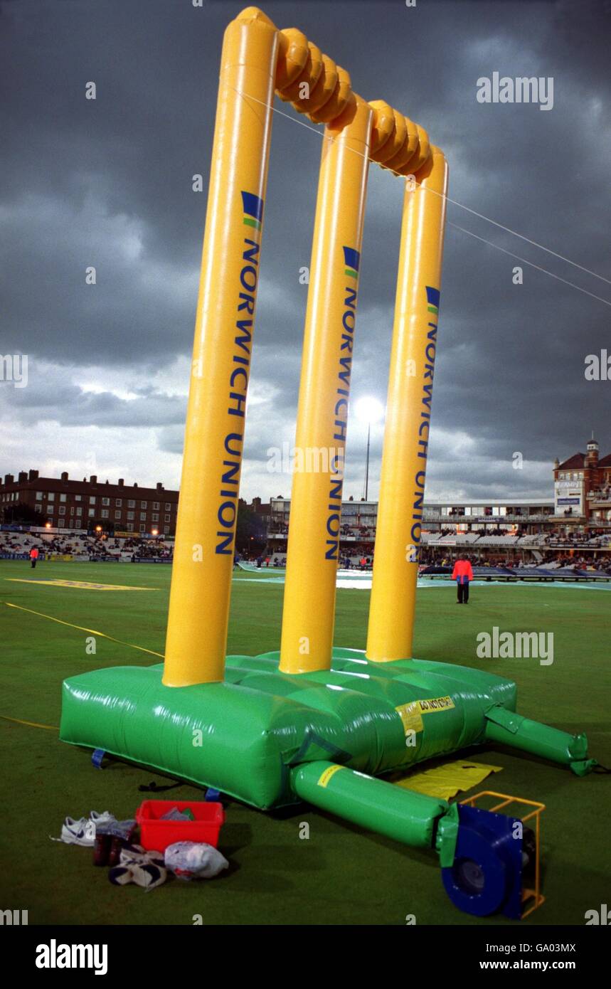 Cricket - Norwich Union League Division One - Surrey Lions v Yorkshire Phoenix Foto Stock