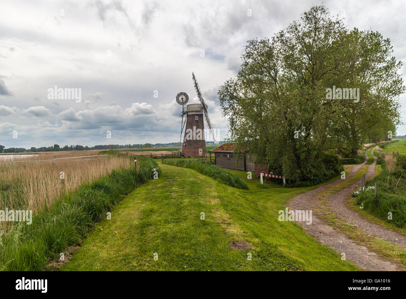 Mulino a vento hardley vento Norfolk Broads pompa regno unito Foto Stock