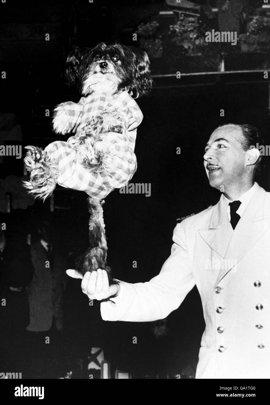 Circo - Parigi. Un cane della troupe Miaz siede sulla sua coda Foto Stock