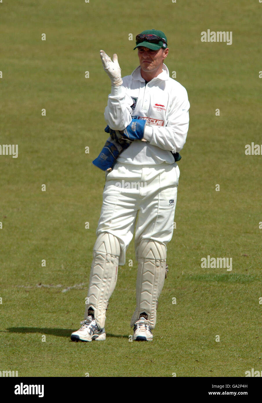 Cricket - Liverpool Victoria County Championship - Division due - Leicestershire v Glamorgan - Grace Road Foto Stock