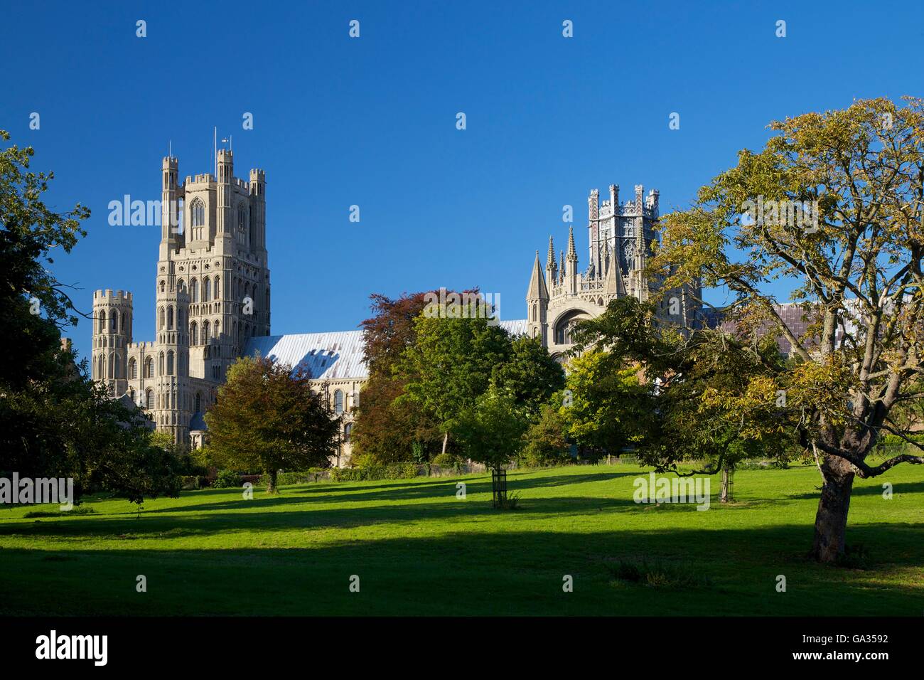 Cattedrale di Ely nel tardo pomeriggio di sole, la Chiesa del Santo e indivisa Trinità, Cambridgeshire Inghilterra GB UK Foto Stock