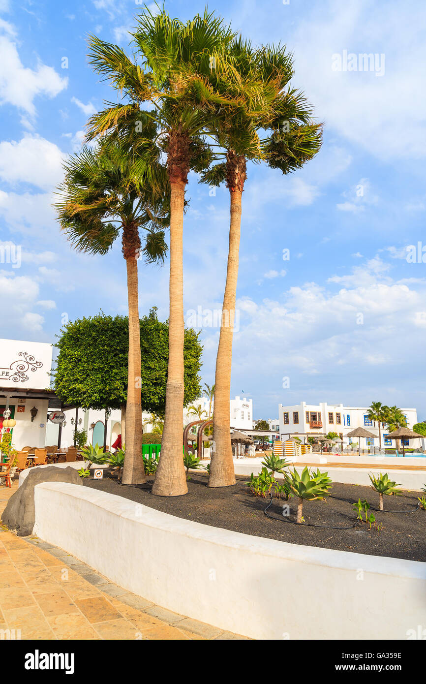 PLAYA BLANCA, Lanzarote Island - Jan 11, 2015: palme in Marina Rubicon costruito nel tradizionale stile delle Canarie a Lanzarote Island. Le isole Canarie sono meta di vacanze. Foto Stock