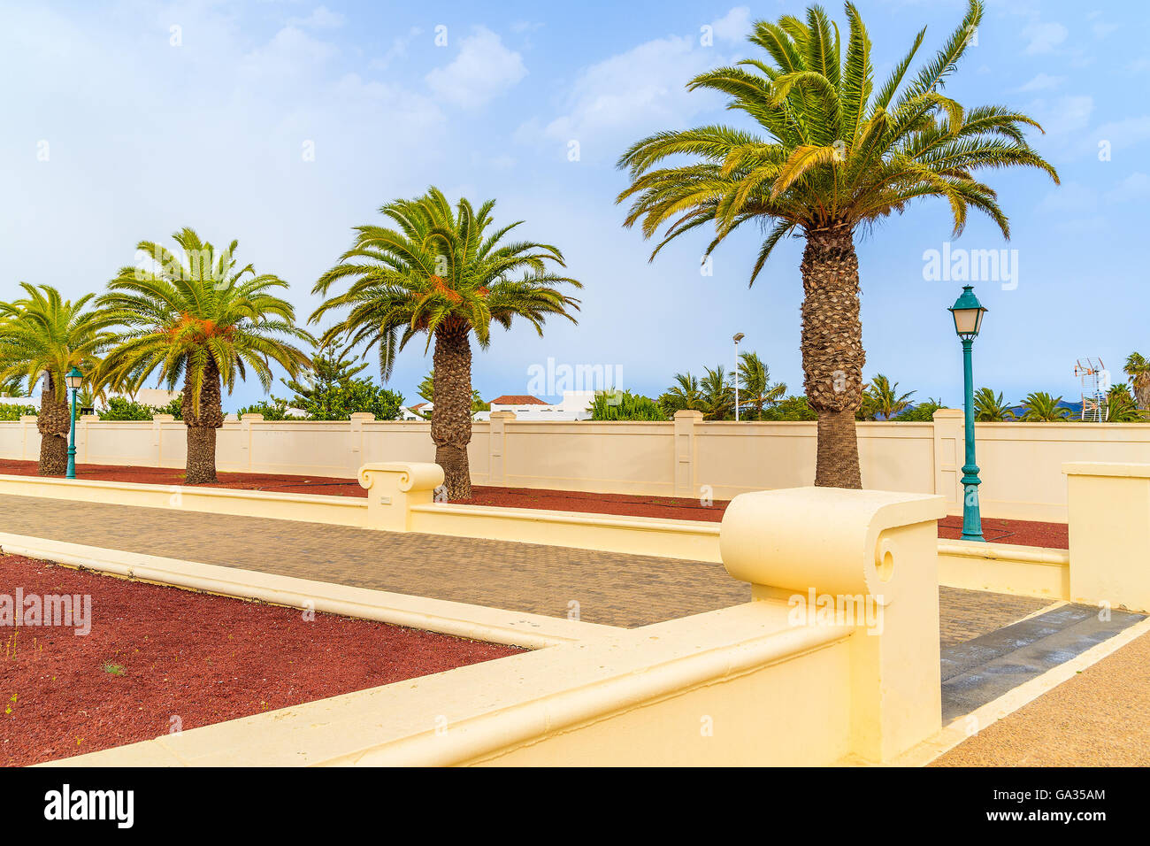 Palme nella città di Yaiza park, Lanzarote, Isole Canarie, Spagna Foto Stock