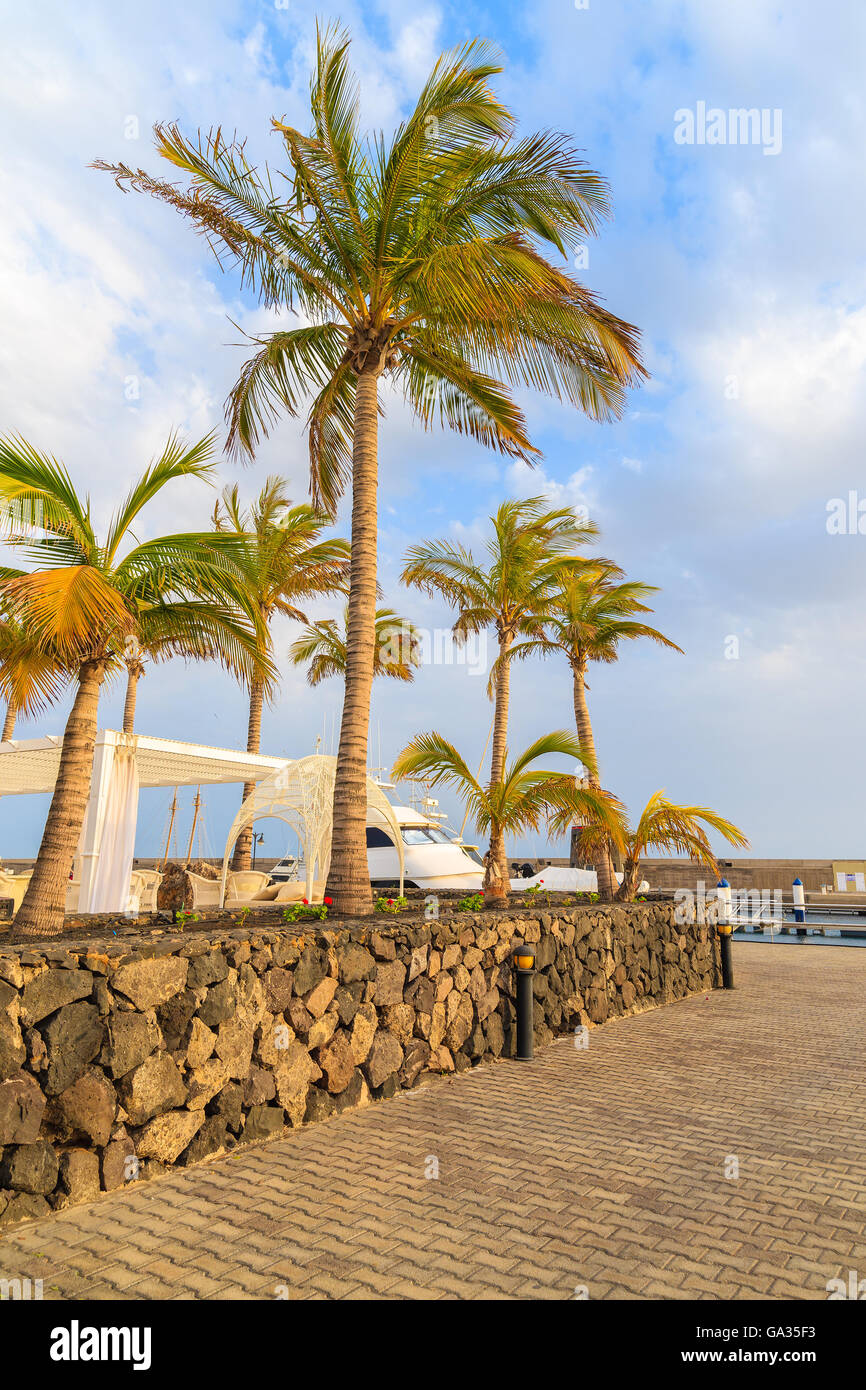 Le palme in stile caraibico porto per yacht barche, Puerto Calero, Lanzarote, Spagna Foto Stock