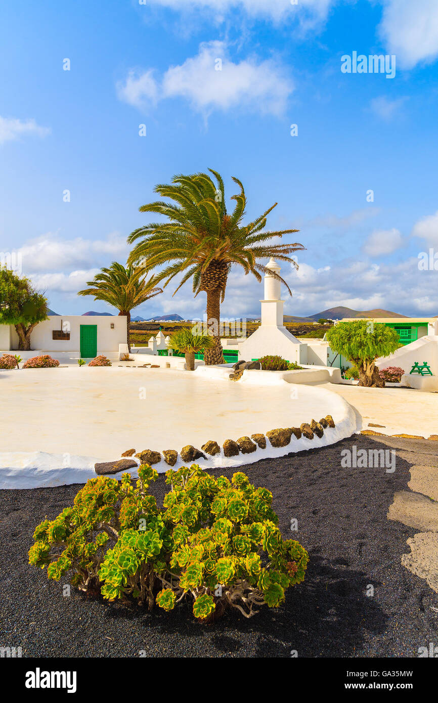 Tipico stile canario edifici e piante tropicali, El Campesino village, Lanzarote, Spagna Foto Stock