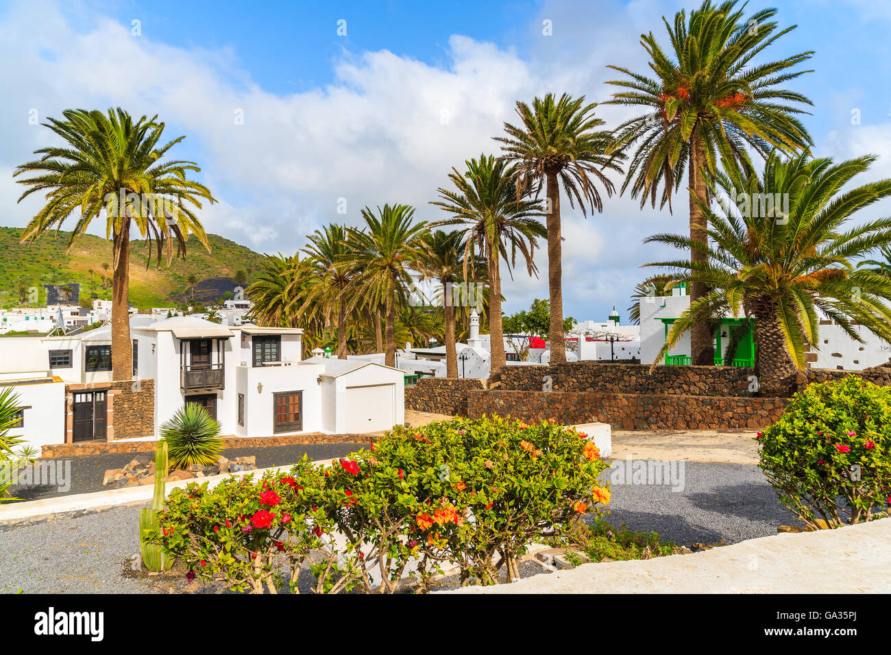 Lo stile delle Canarie case in Palm tree paesaggio di Haria village, Lanzarote, Spagna Foto Stock