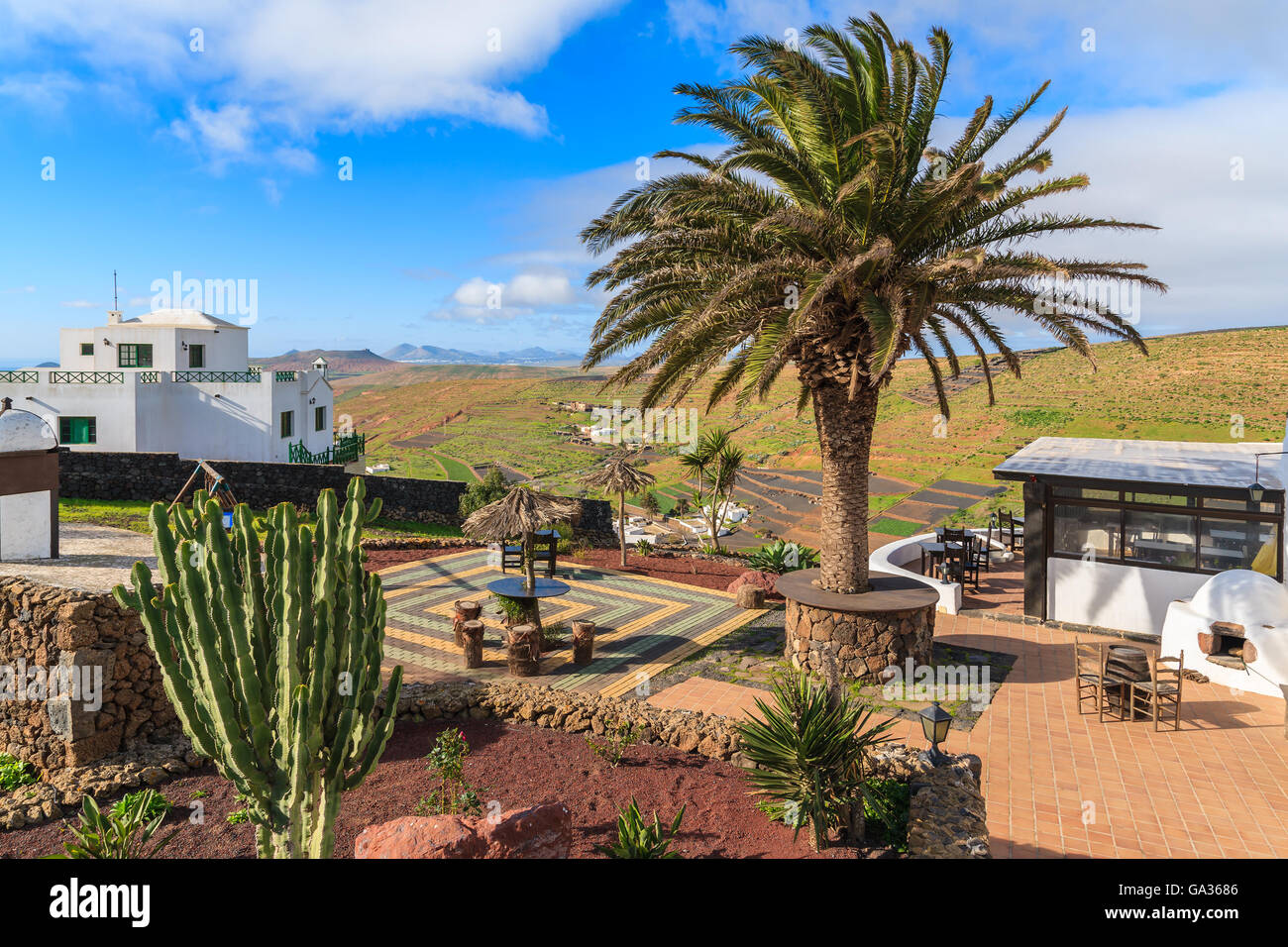 Piante tropicali sul Mirador de Los Valles - punto di vista nel paesaggio di montagna dell'isola di Lanzarote, Spagna Foto Stock