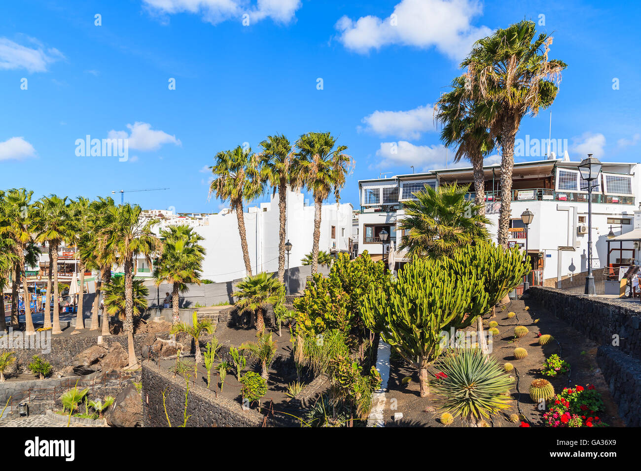 PUERTO DEL CARMEN, Lanzarote Island - Jan 17, 2015: piante tropicali in Puerto del Carmen town. Le isole Canarie sono meta di vacanze, specialmente durante la stagione invernale europea. Foto Stock