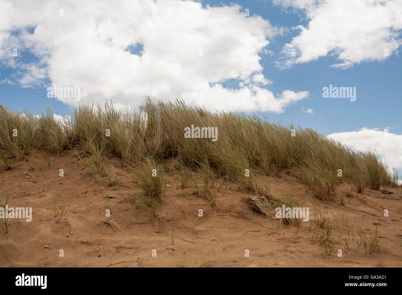 Una vista ravvicinata della grassy dune di sabbia e l'azzurro cielo molto nuvoloso in una spiaggia a Hartlepool in Inghilterra del nord est Foto Stock