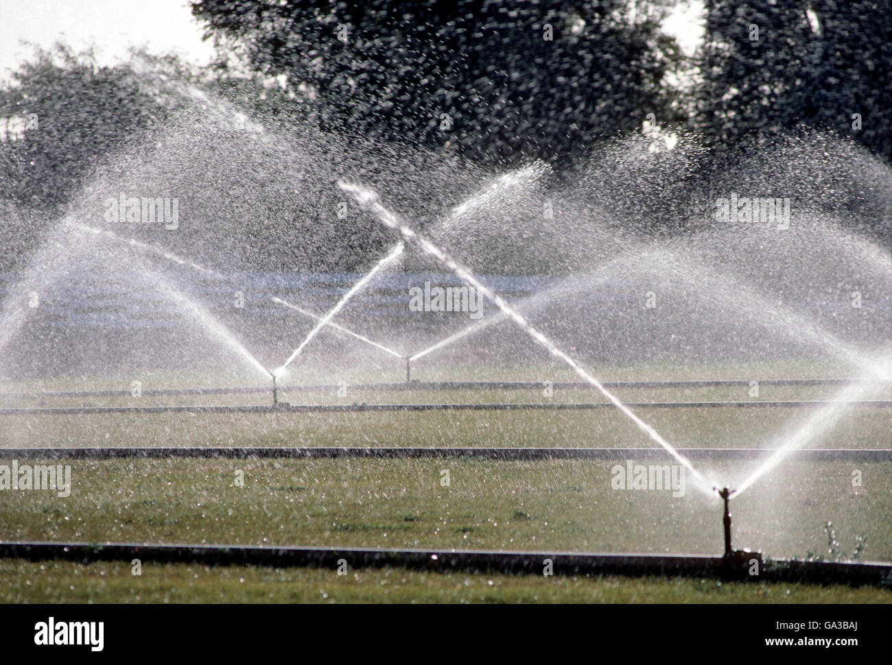 Sprinkler commerciale irrigando turf grass Foto Stock