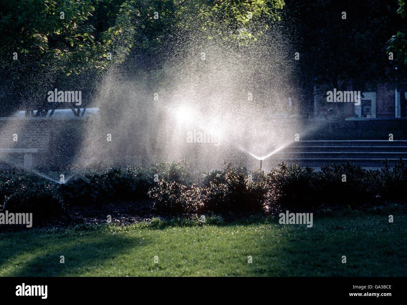 Gli sprinkler irrigazione di giardini e di erba Foto Stock