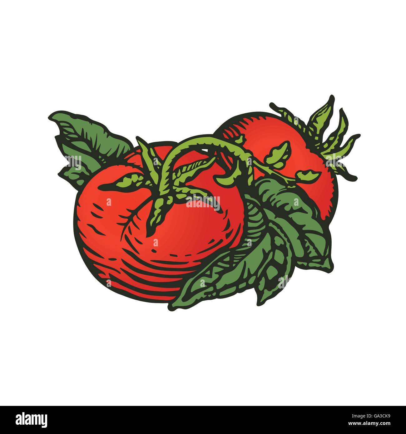 Paio di pomodori in colori di xilografia stile di stampa Foto Stock